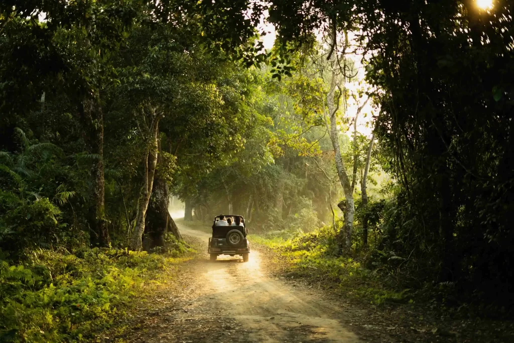 Dave Ryan Haaiski sitting in an open Jeep during a Jungle Safari